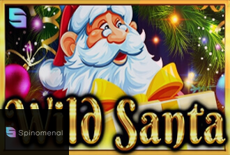 Wild Santa